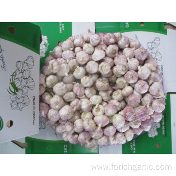 Normal Garlic From Jinxiang